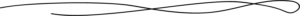 Line art used as a seperator on the website