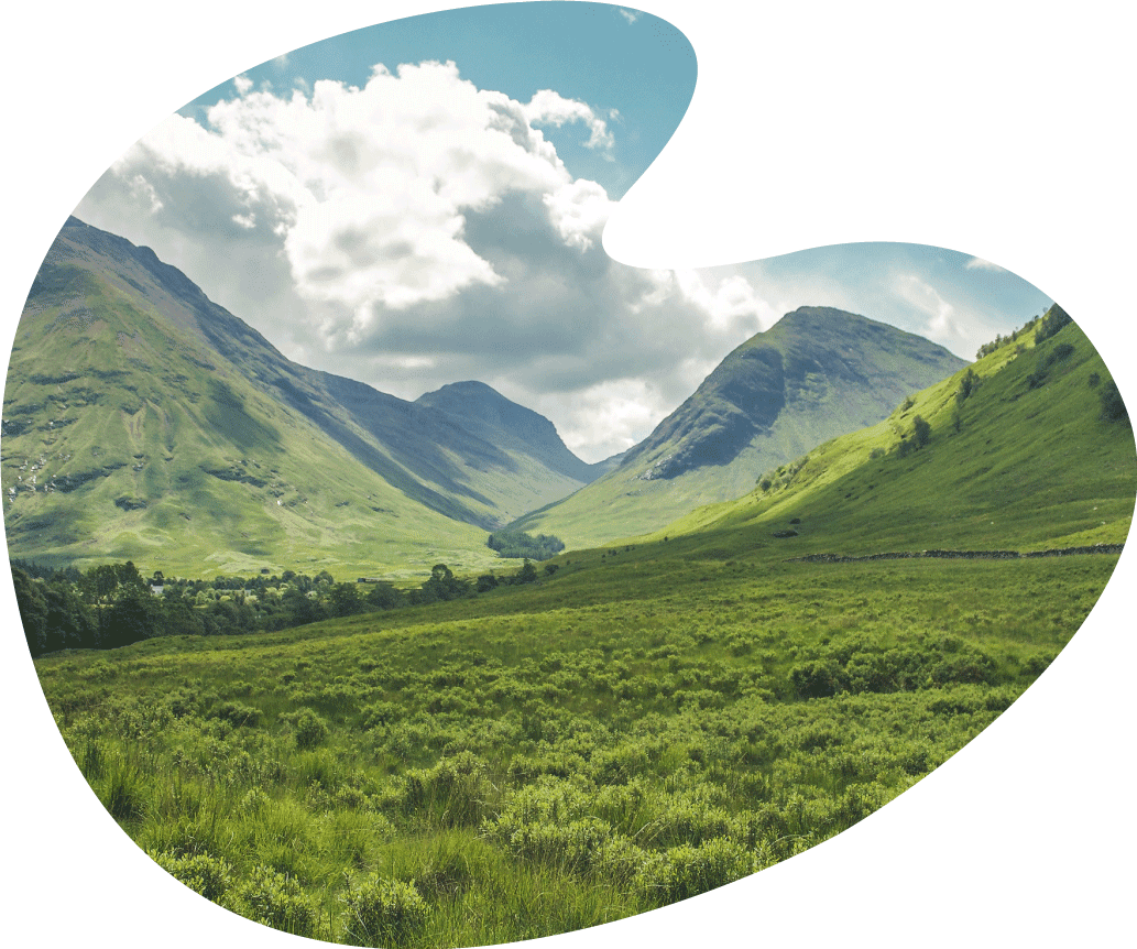 Mountains Background Shape2 1