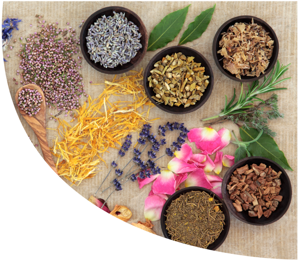 A Key Guide to Naturopathy | Higher Healing