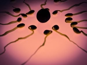 male sperm levels low
