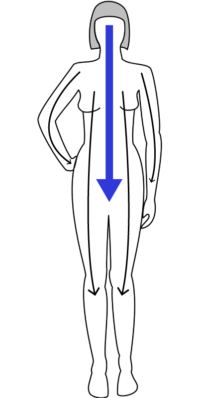 Illustration of Herings Law